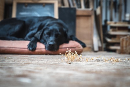 4.Copy of ML CORNWALL STILLS TOM NEISH IMAGERY 13