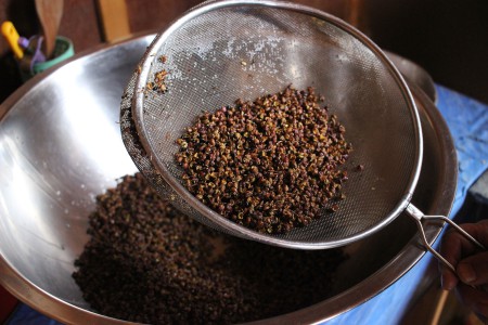 Tseaang Dema Tshjors Ezay 3