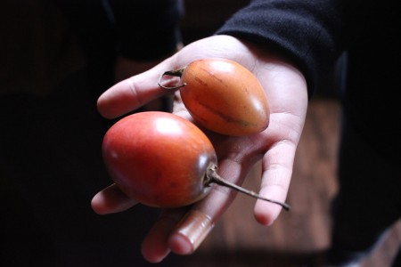 Tseaang Dema Tshjors Ezay 4