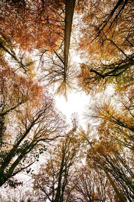 CC02C607 6F6F 472B 9276 14DB016E0765 1 105 c