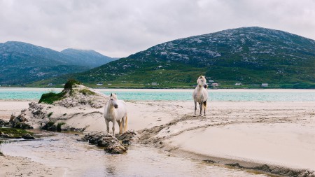 ScotlandP1170216 2CROPPED