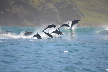 Rob and Debbie. DSC 1291