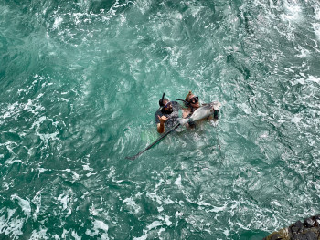 Matt Botha. SA. Wild Coast. Fishing In sea.