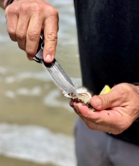Matt Botha. SA. Wild Coast. Oysters
