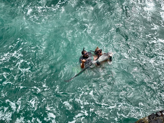 Matt Botha. SA. Wild Coast. Fishing In sea. 