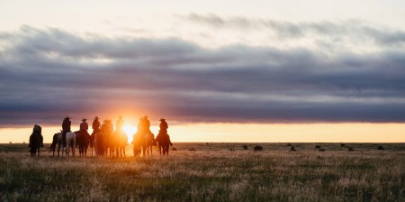 Colorado. Duke. Cowboys. Sunset