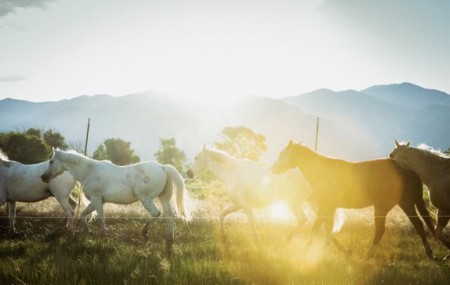 9FDC78A1 2949 4D39 BC32 CCC7938AC38D 1 201 a